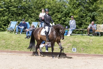 Bild 679 - Pony Akademie Turnier